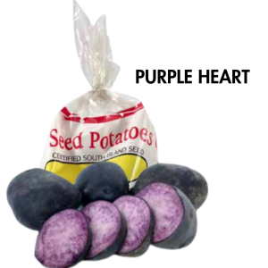 Potato Purple Heart 1kg